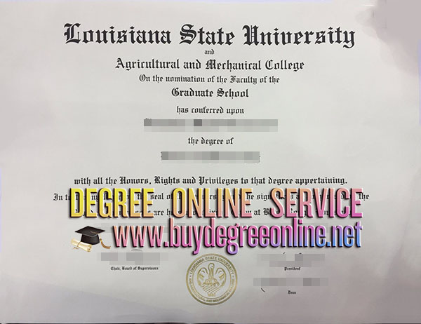 Louisiana State University degree