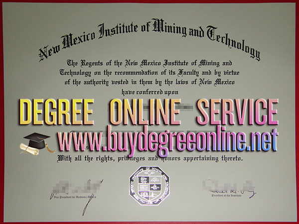 New Mexico Tech degree