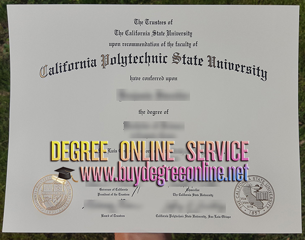 Cal Poly diploma