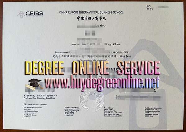 CEIBS degree