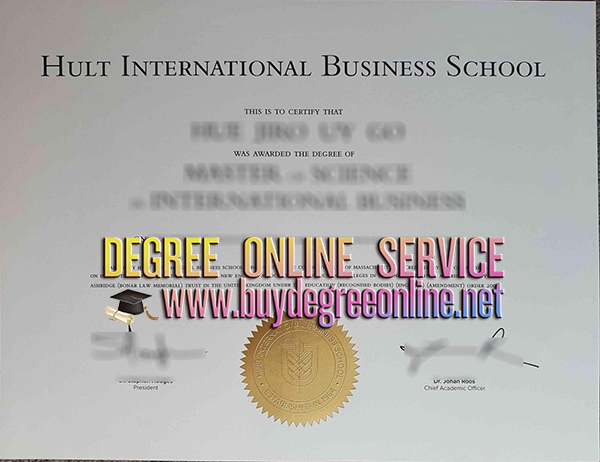 Hult International Business School degree