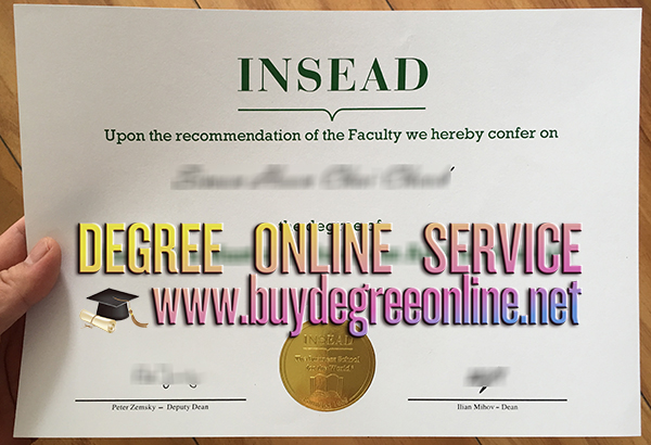 Insead MBA degree