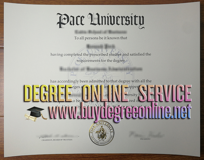 Pace University degree