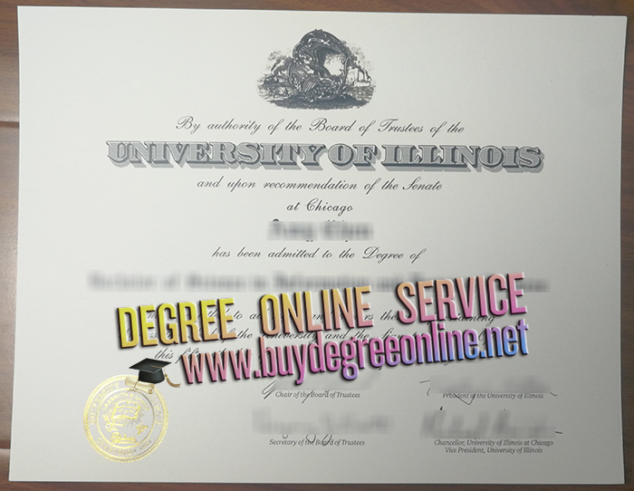 University of Illinois at chicago degree