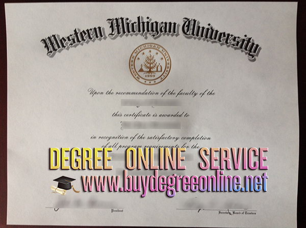 Western Michigan University degree