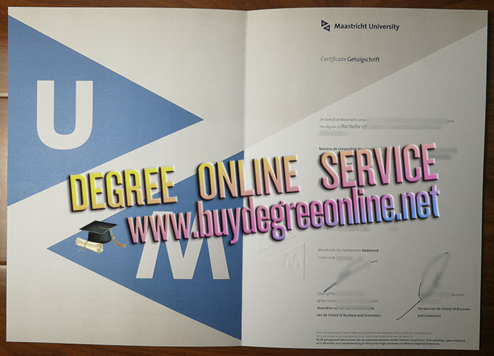 Maastricht University degree