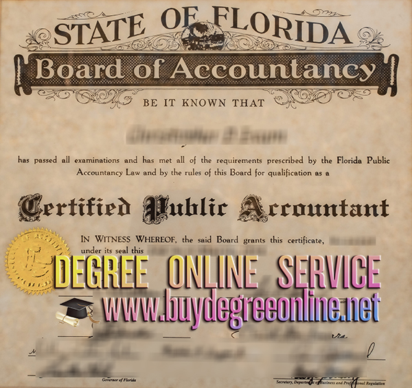 Florida CPA certificate