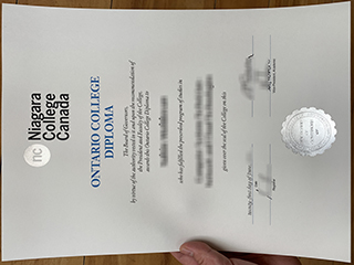 Fake Niagara College Canada diploma, buy Niagara College degree online