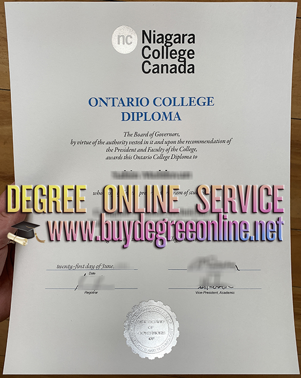 Niagara College diploma