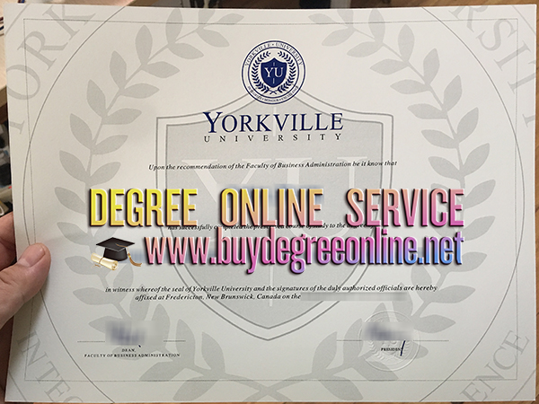 Yorkville University degree