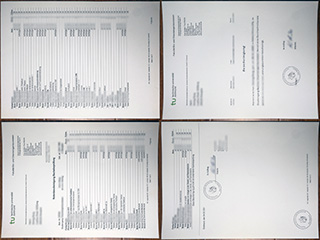 Order TU Dortmund transcript, obtain Technische Universität Dortmund diploma