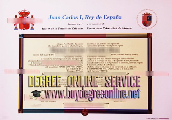 Universidad de Alicante diploma