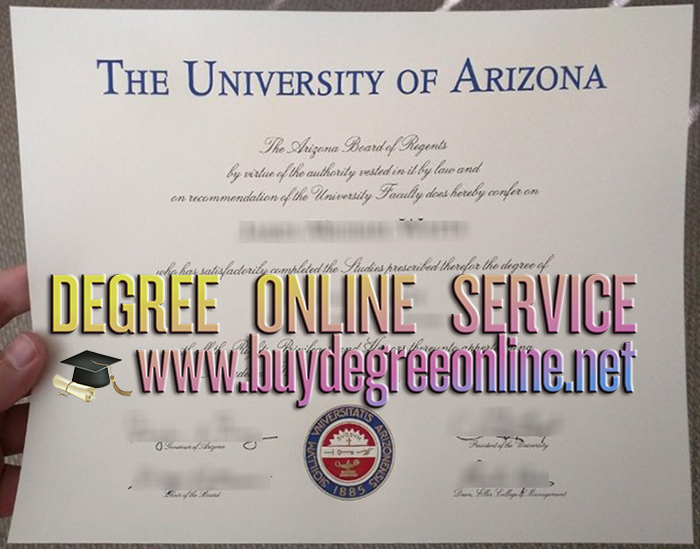 University of Arizona degree