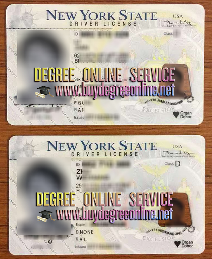 New York Driver License