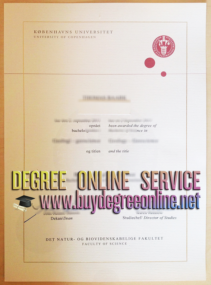 University of Copenhagen diploma