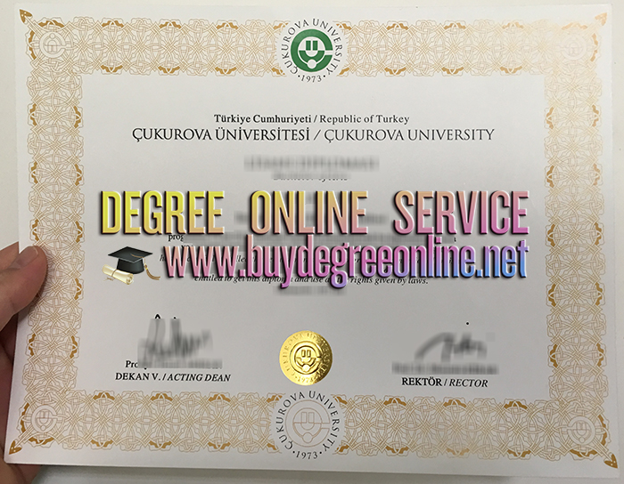 Çukurova University degree