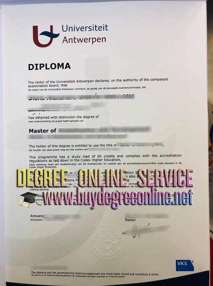 Universiteit Antwerpen degree