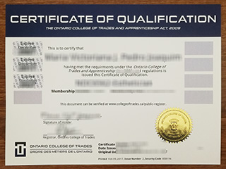 Can I get a fake certificate of qualification from outside Canada?