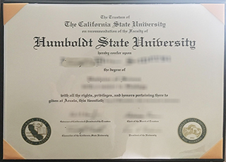 Can I obtain a realistic Humboldt State University degree online?