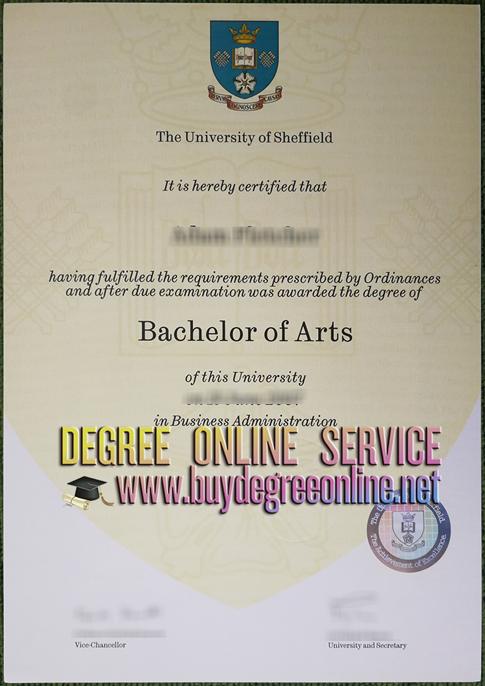 University of Sheffield degree