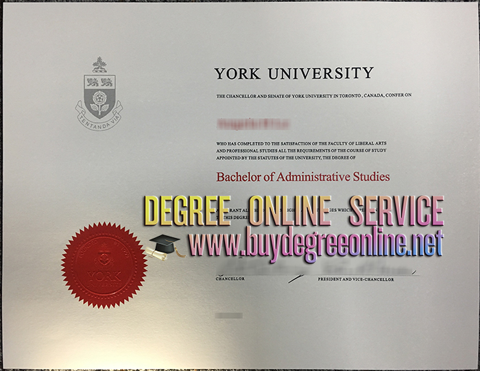 York University degree