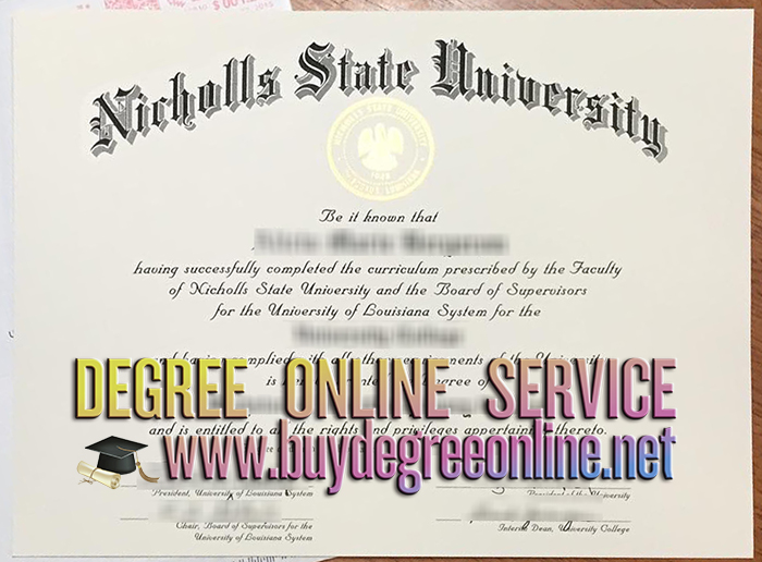 Nicholls State University degree