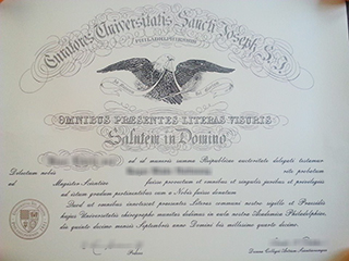 How to obtain a fake Saint Joseph’s University diploma in the US