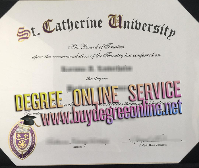 St.Catherine University degree