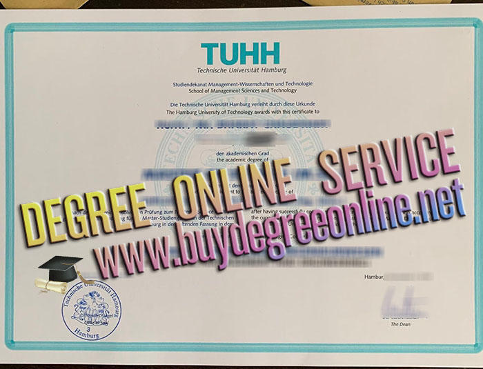 Hamburg University of Technology degree