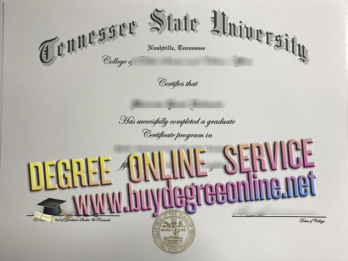 Tennessee State University degree