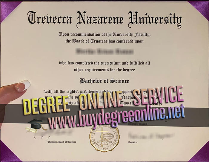 Trevecca Nazarene University degree