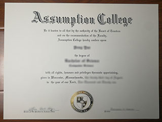 Where to get a realistic Assumption College degree online