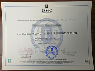 Interested in ESSEC Business School BBA degree, fake ESSEC diploma