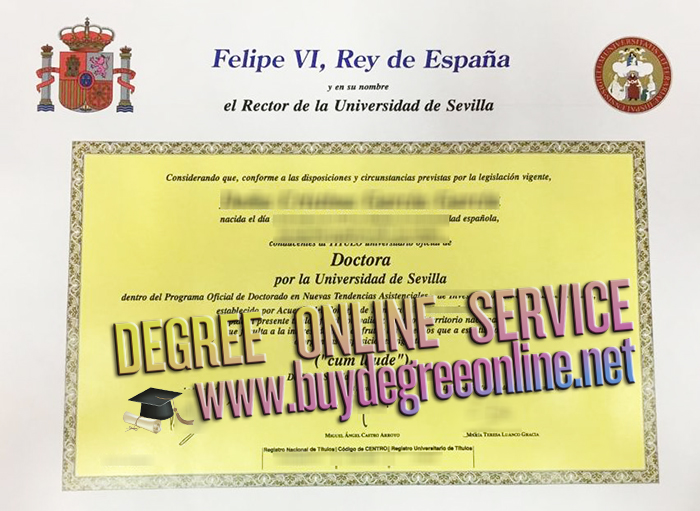 University of Seville diploma