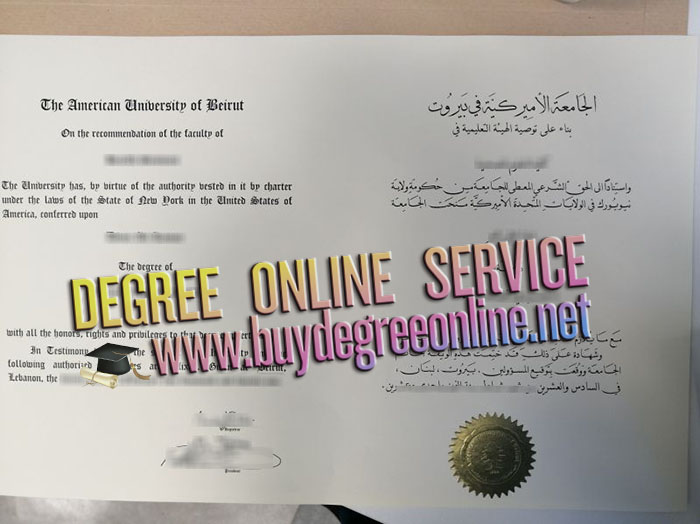 American University of Beirut degree