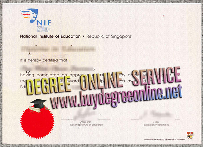 National Institute of Education diploma