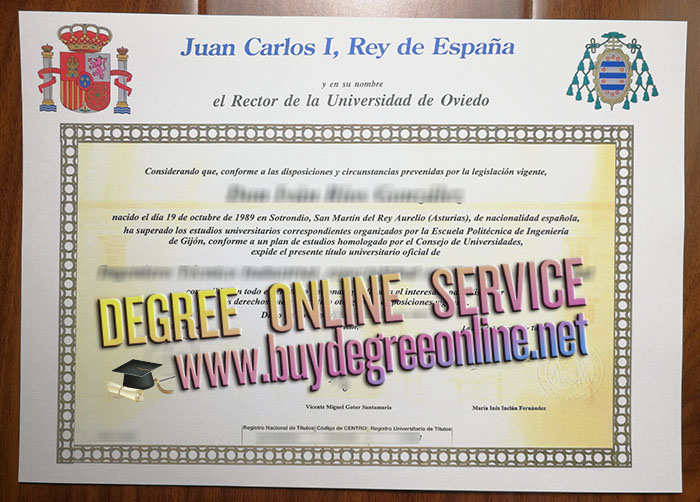 Universidad de Oviedo diploma