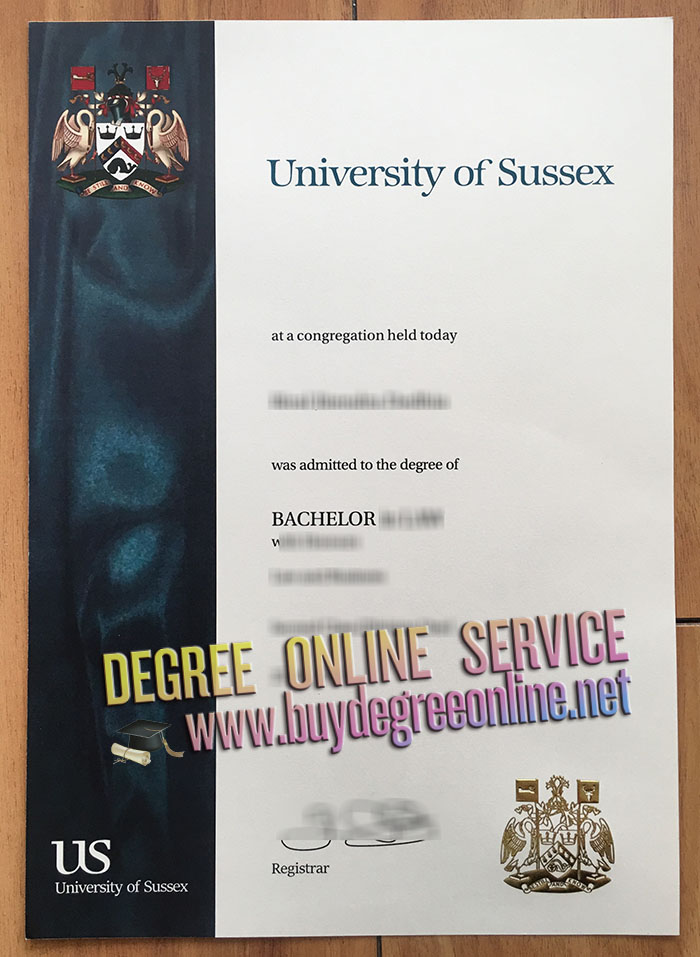 University of Sussex diploma