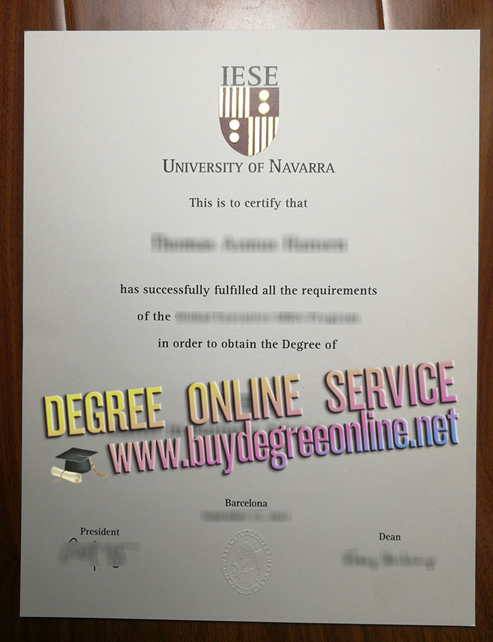 University of Navarra degree