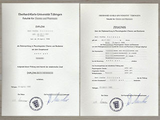 Order University of Tübingen diploma and transcript in Germany