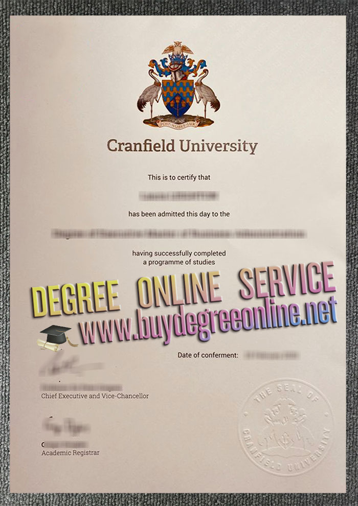 Cranfield University degree