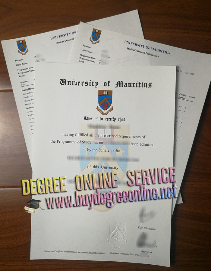 University of Mauritius degree