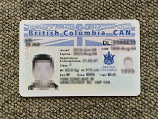 Buy British Columbia Driver’s license, fake BC DL in Canada