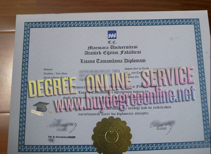 Marmara University degree