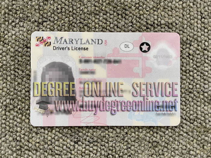 Maryland driver's license