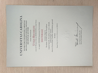 How to buy a fake Charles University degree certificate in Czech