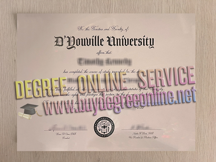 D'Youville University degree