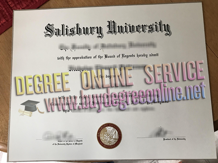 Salisbury University degree