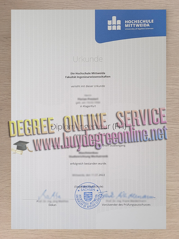 Hochschule Mittweida degree