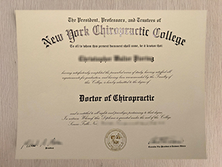 Best website to buy a fake New York Chiropractic College doctor degree